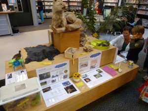 Tentoonstelling biomimicry in bibliotheek van Houten